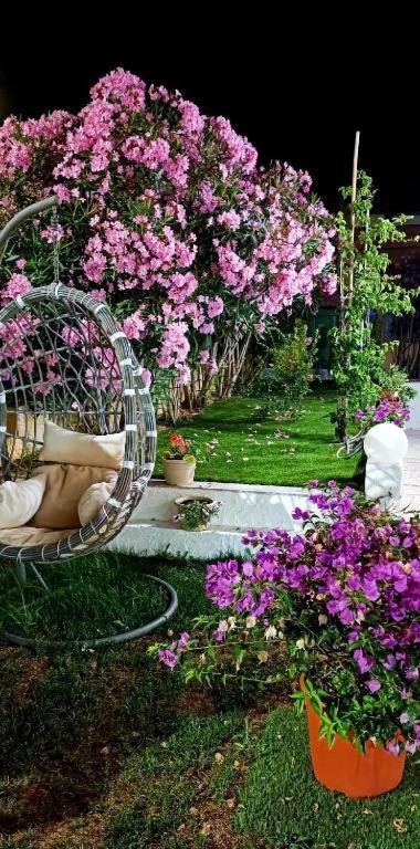 La Smeralda - Boutique Rooms And Breakfast Гольфо-Аранчи Экстерьер фото